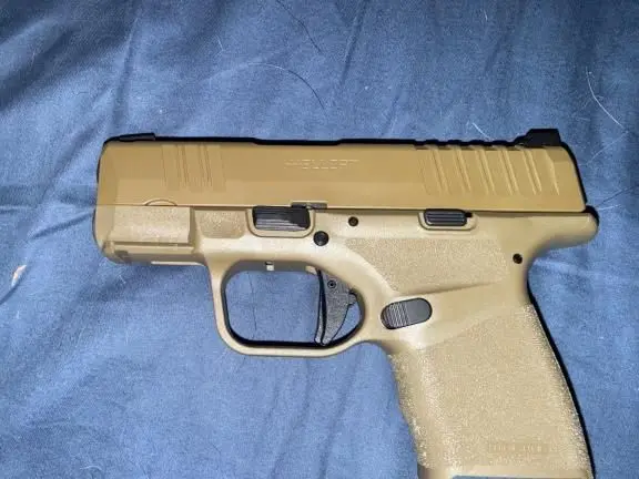 Hell cat subcompact with 3 mags