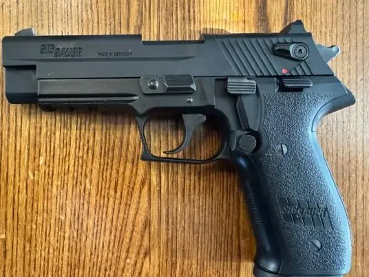 Sig Mosquito