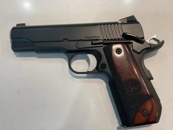 Dan Wesson Guardian