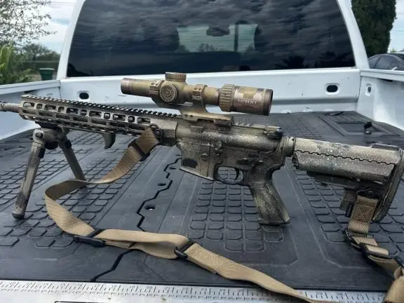 AR 15