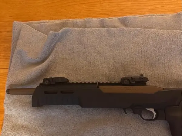 Ruger 10/22 charger