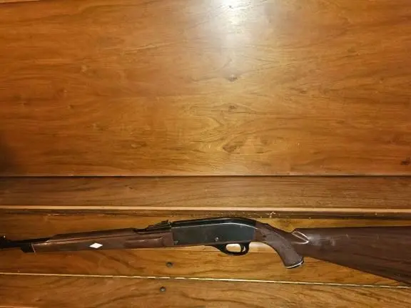 Nylon 66 Remington