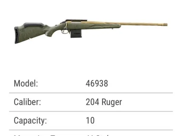 Ruger American Generation II 204