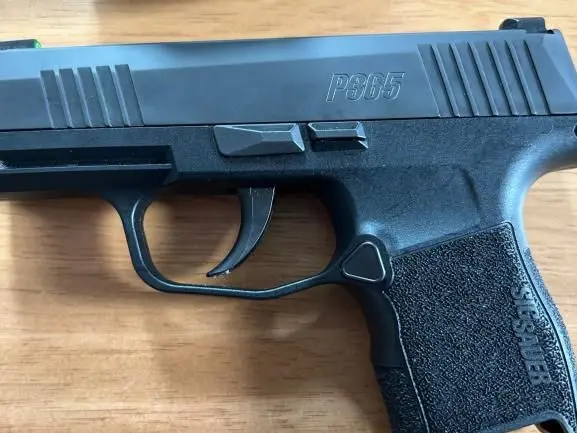 Sig Sauer P365 / Holster