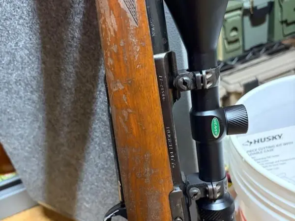 Ruger M77