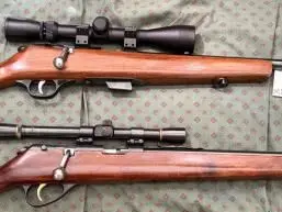 Reducing .22 LR collection