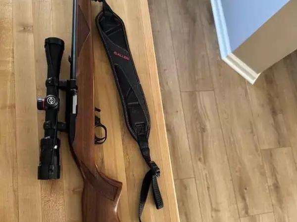 Ruger 1022 Semi Auto