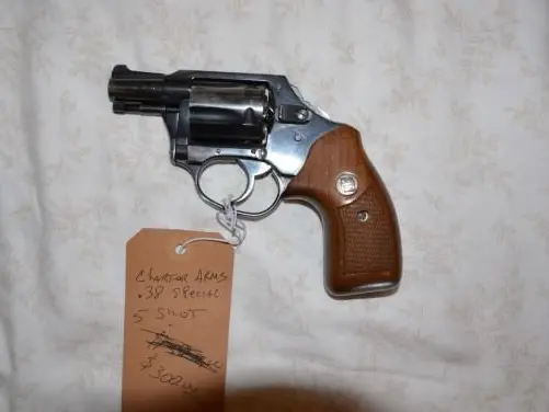 Charter Arms .38 Special 5-shot
