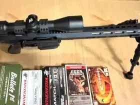 AR-10