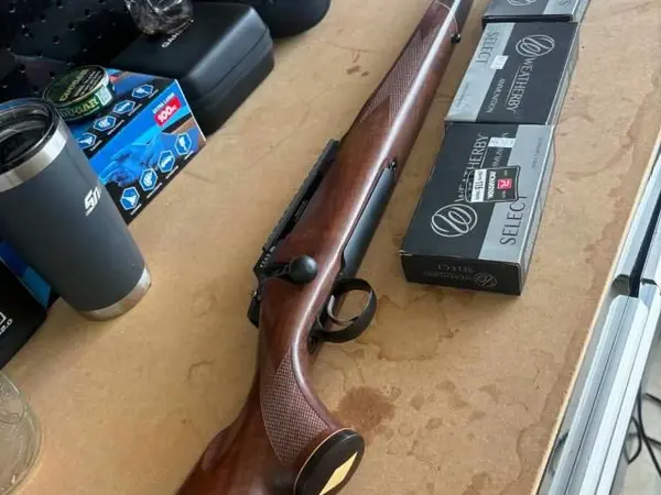 Weatherby model 307