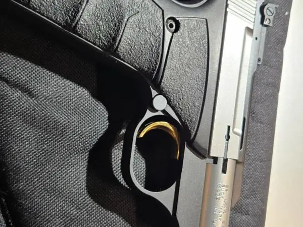 Browning Buckmark Stainlesd
