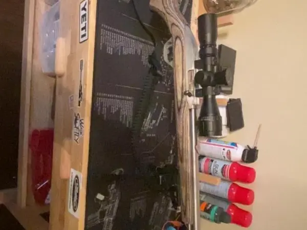 Marlin model 60