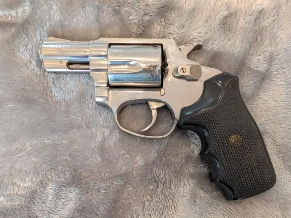 Rossi .38 Special Revolver, Stainless, 5-Shot, 2" Barrel