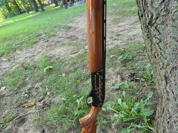 Remington lt20 ducks unlimited
