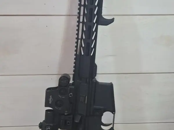 Bushmaster AR-15 w/ FRT & eotech
