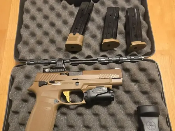Sig M17 with Delta Point and extra mags.