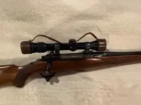 Ruger M77 30.06