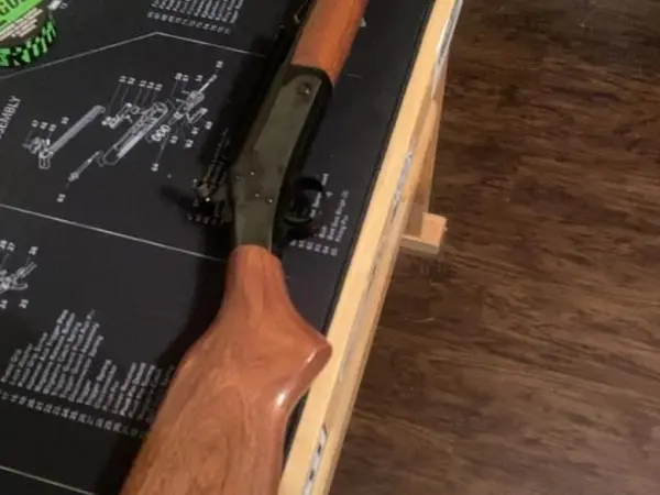 New England firearms .270