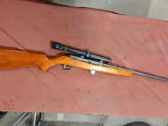 .22 rifle New Haven 250-C