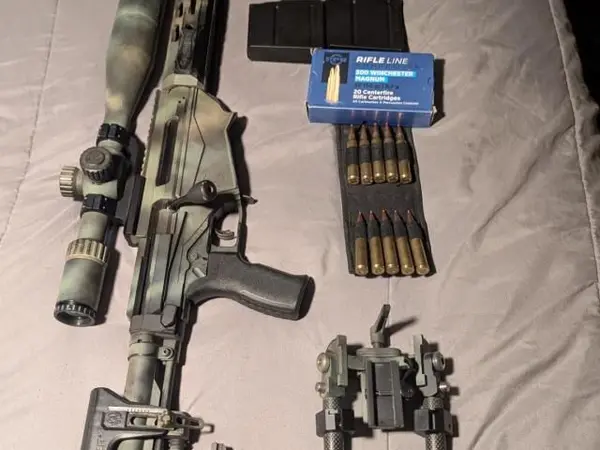 Ruger precision 300 win
