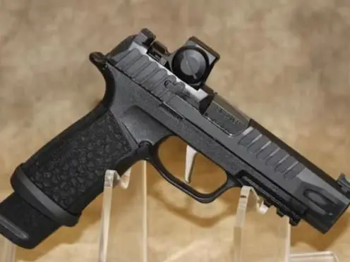 Sig Sauer P365 Fuse with Romeo X