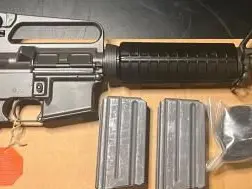 Colt R6520