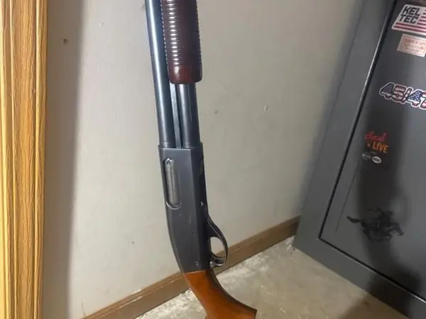 Older wingmaster