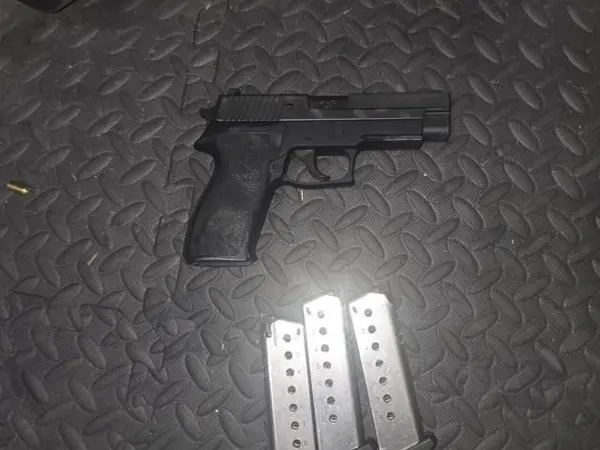 Sig P220R