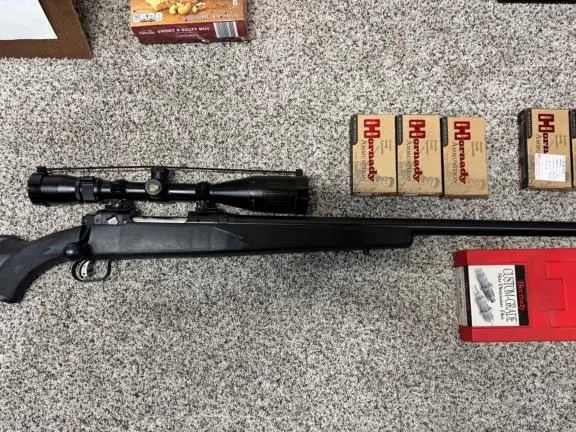Savage Model 12