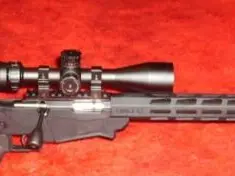 Ruger Precision rifle .22lr