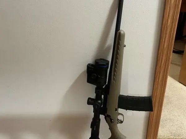 Ruger American ranch 223