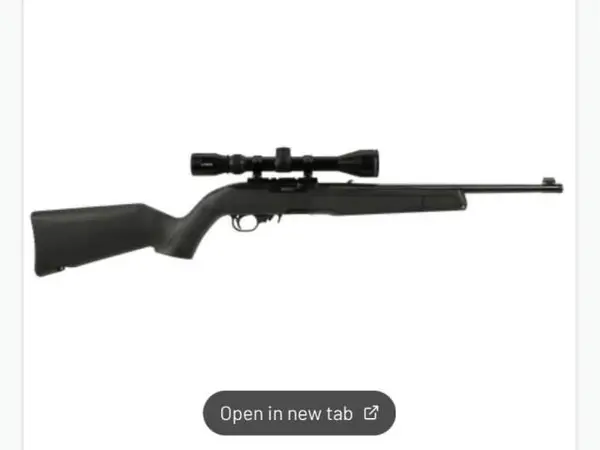 Ruger 10/22