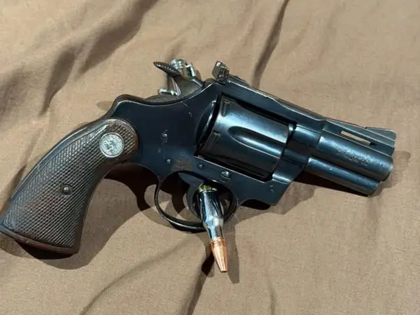 Call Diamondback 38 special 1975