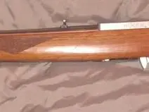 Ruger 10/22