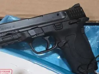 Smith & Wesson M&P 380 Shield EZ .