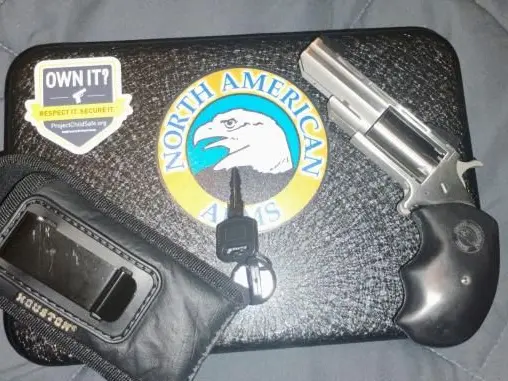 NAA. 22lr/ 22 wmr