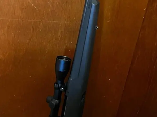 Savage Axis .308