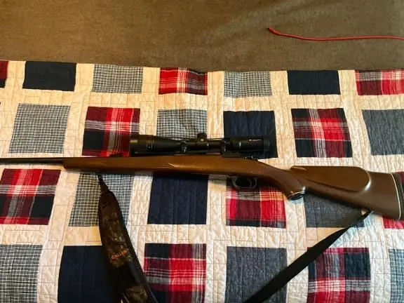 Interarms Mark X .270