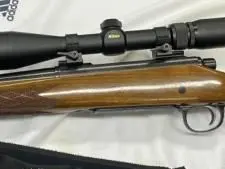 Remington enhanced bdl 30'06