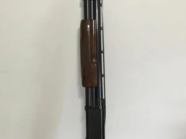 Browning 10 gauge