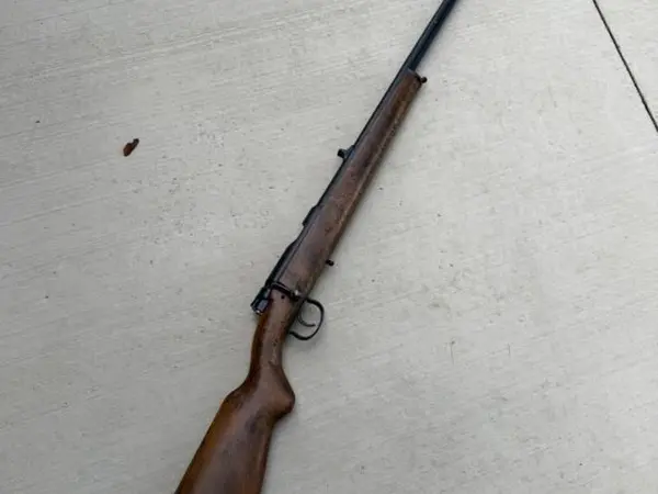 Romanian Cugir .22 trainer