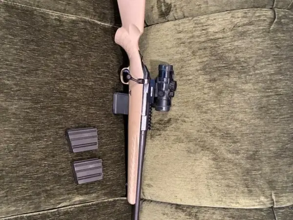 Ruger American Ranch in 5.56