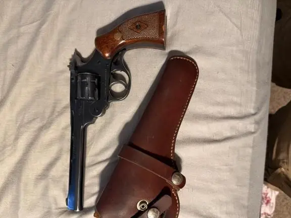 Harrington & Richardson 22
