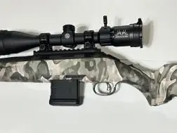 Ruger American 300 BLK