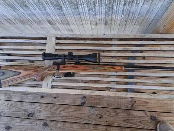 Cz 527 204ruger