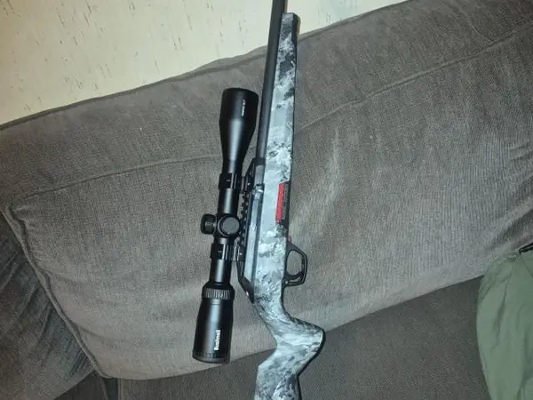 Winchester wildcat