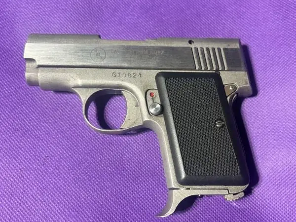 AMT Backup .380 Stainless