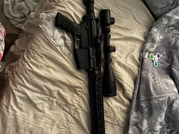 Dpms ar-10 308.