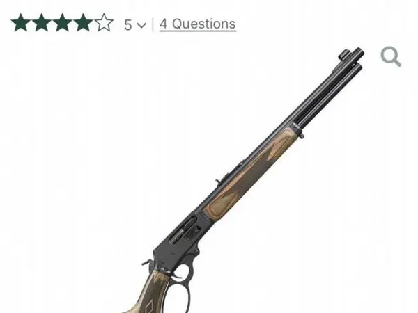 Ruger 1895 guide gun
