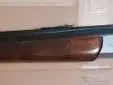 Savage 24H-DL .22 Win Mag over .410